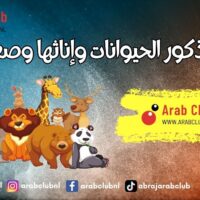 أسماء ذكور الحيوانات وإناثها وصغارها