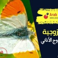 صفات الزوج الأناني نصائح زوجية