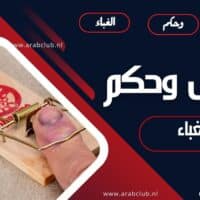 حكم وأقوال عن الغباء