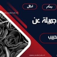 عبارات جميلة عن فراق الحبيب