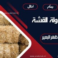 معنى مقولة القشة التي قصمت ظهر البعير