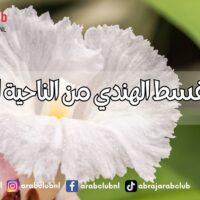 فوائد القسط الهندي من الناحية العلمية