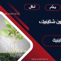 أقوال جون شتاينبيك