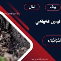 أقوال عبد الرحمن الكواكبي