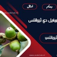 حكم وأقوال ميغيل دي ثيربانتس