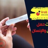 هل يحدث حمل بين الحيوان والإنسان