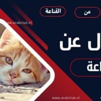 أقوال عن القناعة