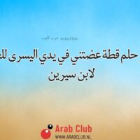 تفسير حلم قطة عضتني في يدي اليسرى للعزباء