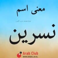 معنى اسم نسرين