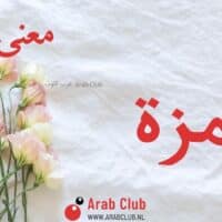 معنى اسم حمزة