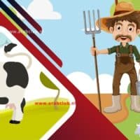 قصة جحا والبقرة