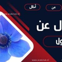 اقوال وحكم عن القول