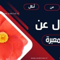 اقوال وحكم وكلمات معبرة تخطف القلوب