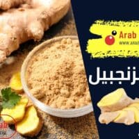 فوائد الزنجبيل