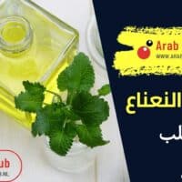 فوائد النعناع للقلب