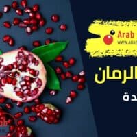 فوائد الرمان للمعدة
