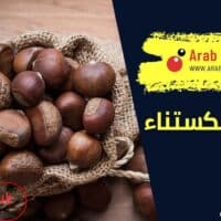 فوائد الكستناء