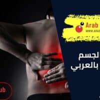 عضلات الجسم واسمائها بالعربي للتمارين
