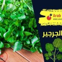 فوائد الجرجير