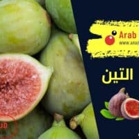 فوائد التين الغنية بالعناصر الغذائية