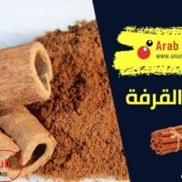 فوائد القرفة