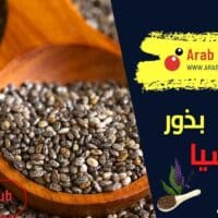 فوائد بذور الشيا