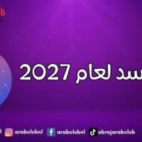 برج الأسد لعام 2027