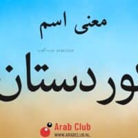 معنى اسم كوردستان