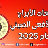 توقعات الأبراج الصينية لبرج الأفعى لعام 2025