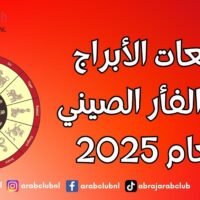 توقعات الأبراج الصينية لبرج الفأر لعام 2025