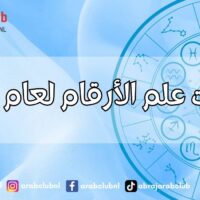 توقعات علم الأرقام لعام 2025 ماذا يحمل لك العام الجديد بناءً على تاريخ ميلادك