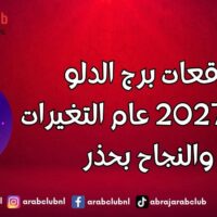 توقعات برج الدلو لعام 2027 عام التغيرات والنجاح بحذر