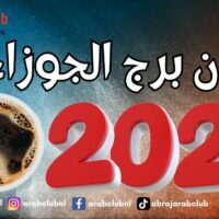توقعات برج الجوزاء لعام 2027 بعلم الفنجان