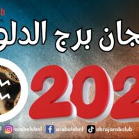 توقعات فنجان برج الدلو لعام 2027 الفرص والتحديات عبر أشهر العام