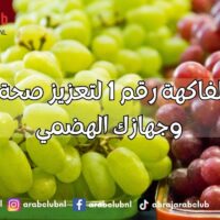 العنب الفاكهة رقم 1 لتعزيز صحة الأمعاء وجهازك الهضمي