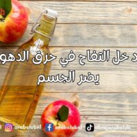 هل يساعد خل التفاح في حرق الدهون فعلاً أم يضر الجسم؟ الحقيقة وراء الادعاءات