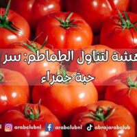 فوائد مدهشة لتناول الطماطم سر الصحة في حبة حمراء
