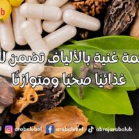 10 أطعمة غنية بالألياف تضمن لك نظامًا غذائيًا صحيًا ومتوازنًا