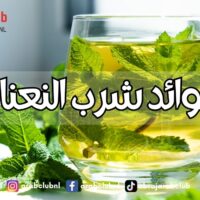 فوائد شرب النعناع: مشروب صحي بخصائص علاجية مذهلة