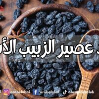 فوائد عصير الزبيب الأسود