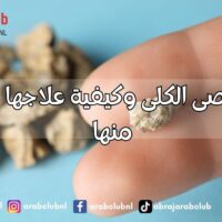 أسباب حصى الكلى