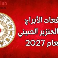 توقعات الأبراج لبرج الخنزير الصيني للعام 2027
