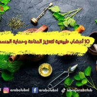 10 أعشاب طبيعية لتعزيز المناعة وحماية الجسم من الأمراض