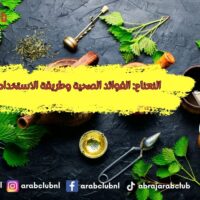 النعناع: الفوائد الصحية وطريقة الاستخدام الأمثل