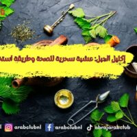 إكليل الجبل عشبة سحرية للصحة وطريقة استخدامها المثلى