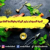 الحبة السوداء بذور البركة وفوائدها العلاجية المذهلة