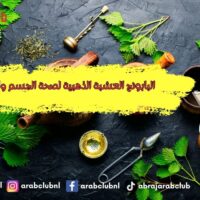 البابونج العشبة الذهبية لصحة الجسم والعقل