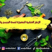 الزعتر العشبة المعجزة لصحة الجسم والطاقة