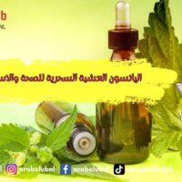 اليانسون العشبة السحرية للصحة والاسترخاء