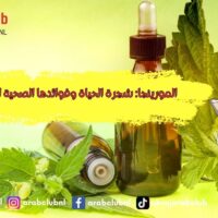 المورينجا شجرة الحياة وفوائدها الصحية المذهلة